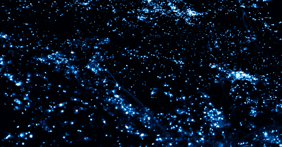 Bioluminescent plankton is caused by a chemical reaction