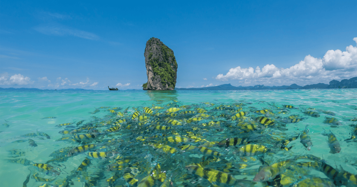 Snorkel around the 4 islands including poda island