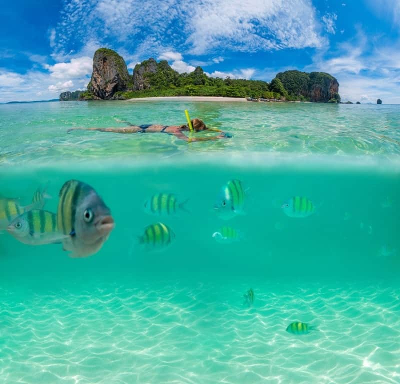 Aquatic adventures, swimming and snorkeling with tropical fish at phi phi