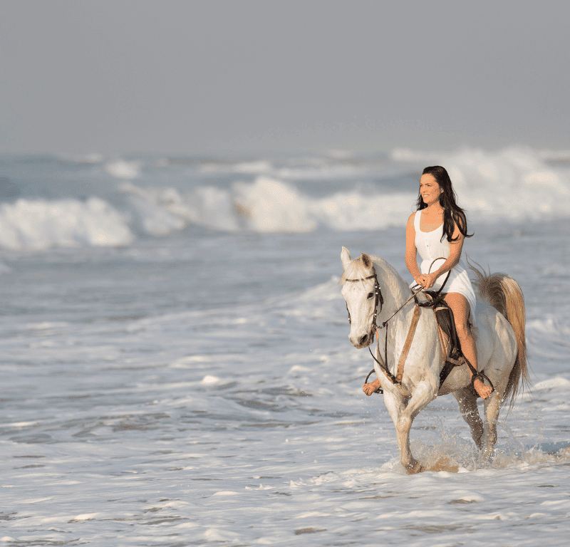 Horse riding in the waves