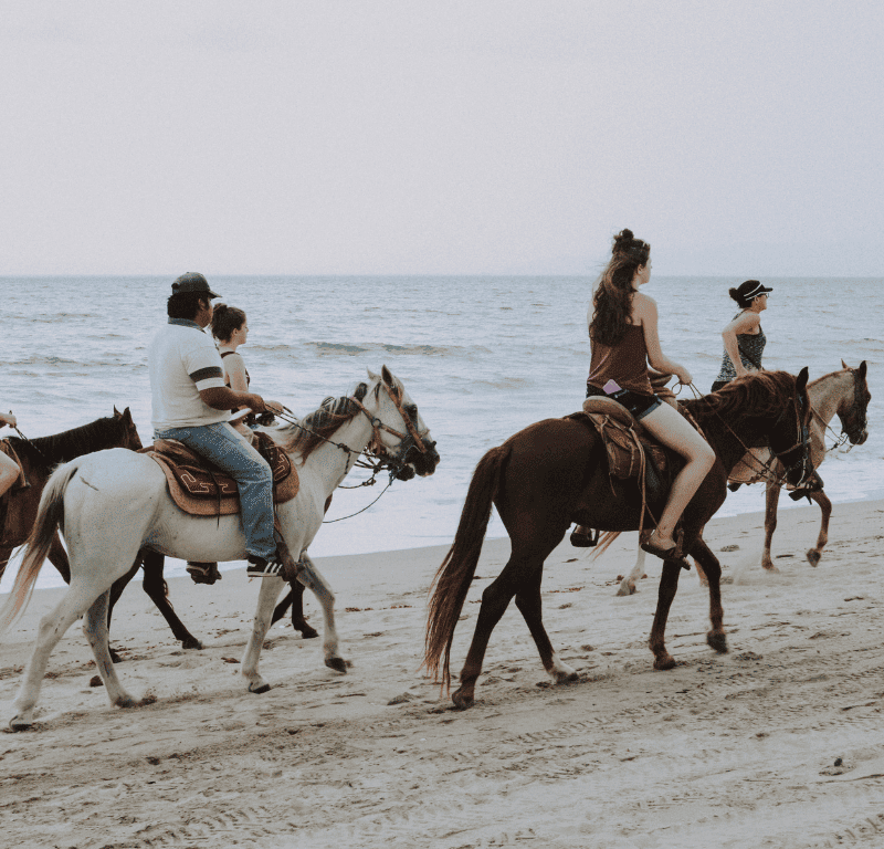 Group riding horses on the beach