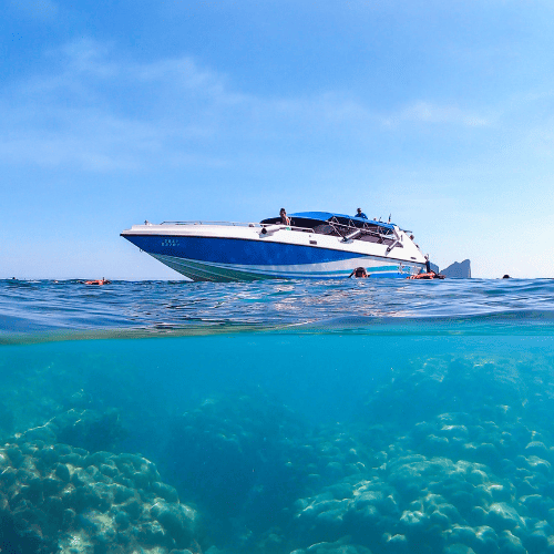 The remarkable koh haa island tour 2023 » https://www. Coralseekers. Com