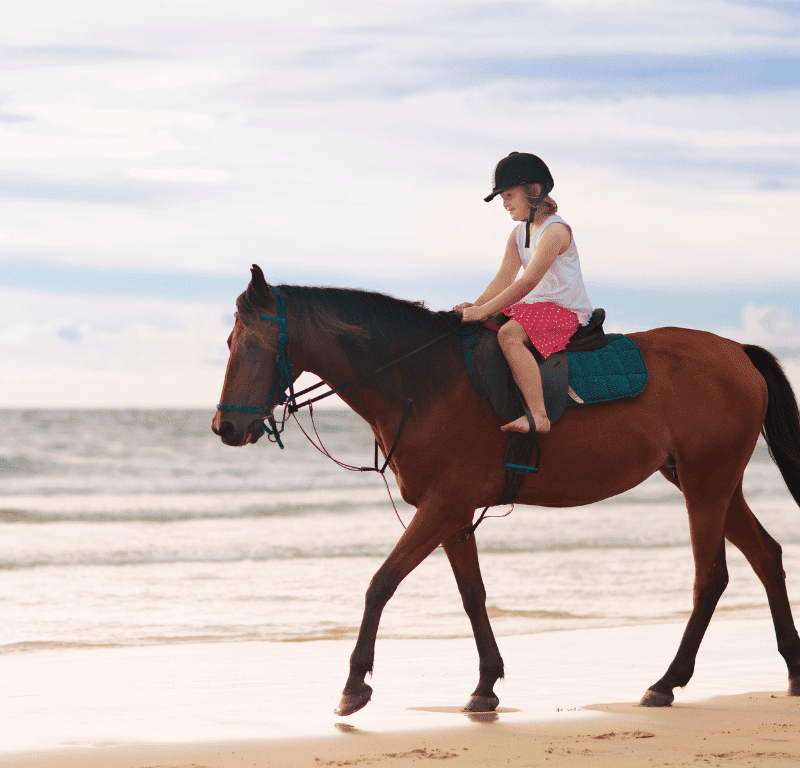 Little girl riding horse on the beach