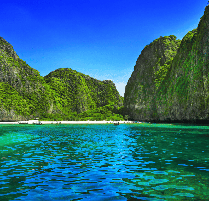 Beautiful maya bay closed 2023 » https://www. Coralseekers. Com