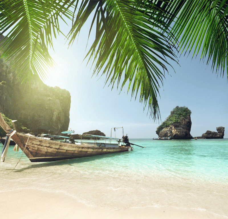 Phi phi island long tail boat and coconut tree