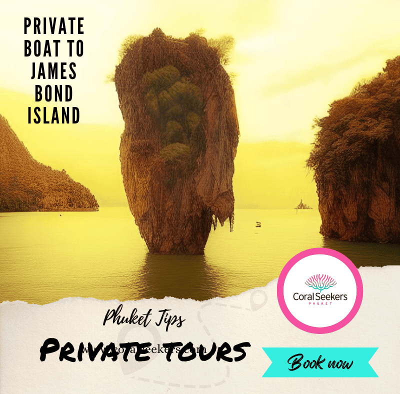 Private boat to james bond island