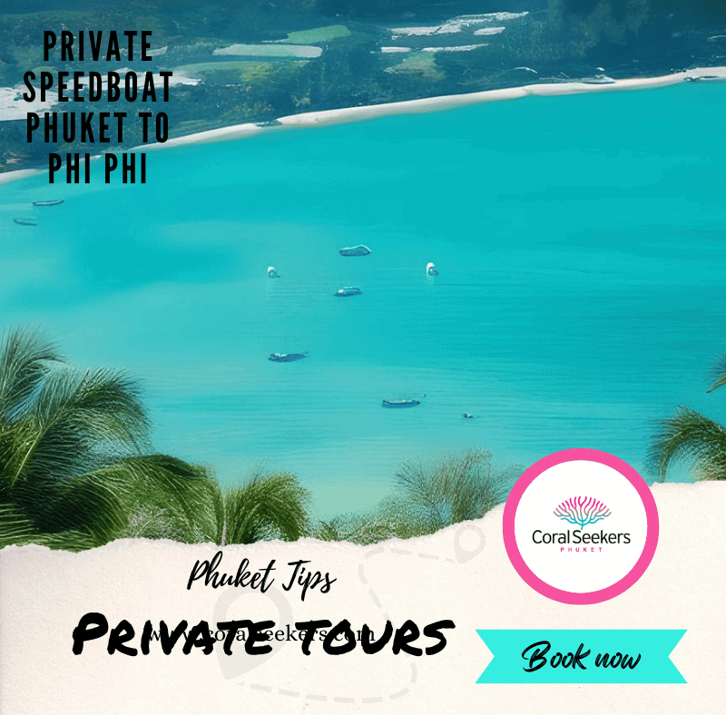 Private speedboat phuket to phi phi